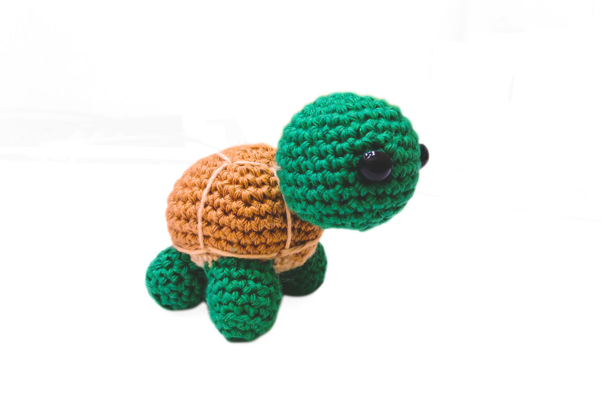 Small Sea Turtle