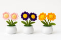 2 Daisies Flowerpot