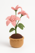 Big Hibiscus Pot