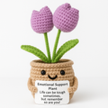 Emotional Support Plant