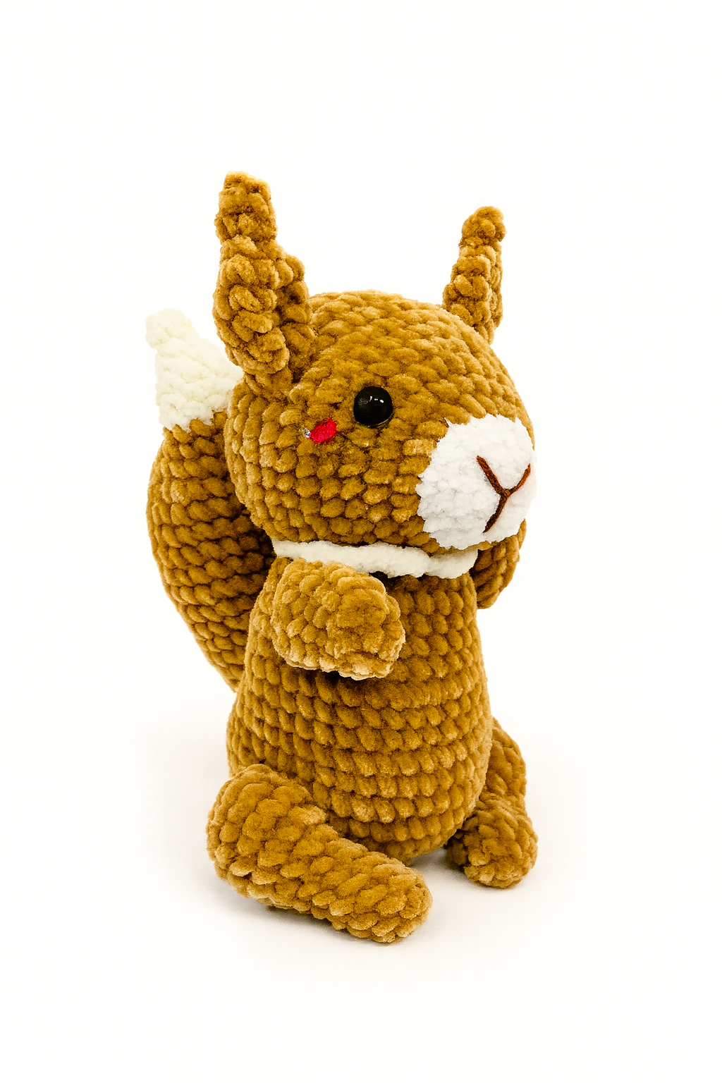Squirrel