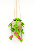 Hanging Blooming Basket