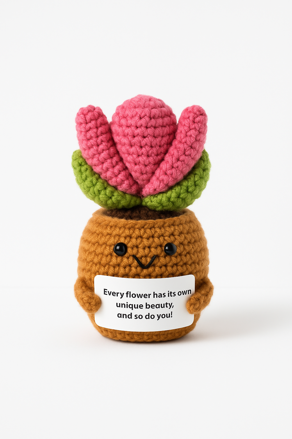 Pink  Smiley Succulent flower pot