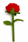Big Jumbo rose