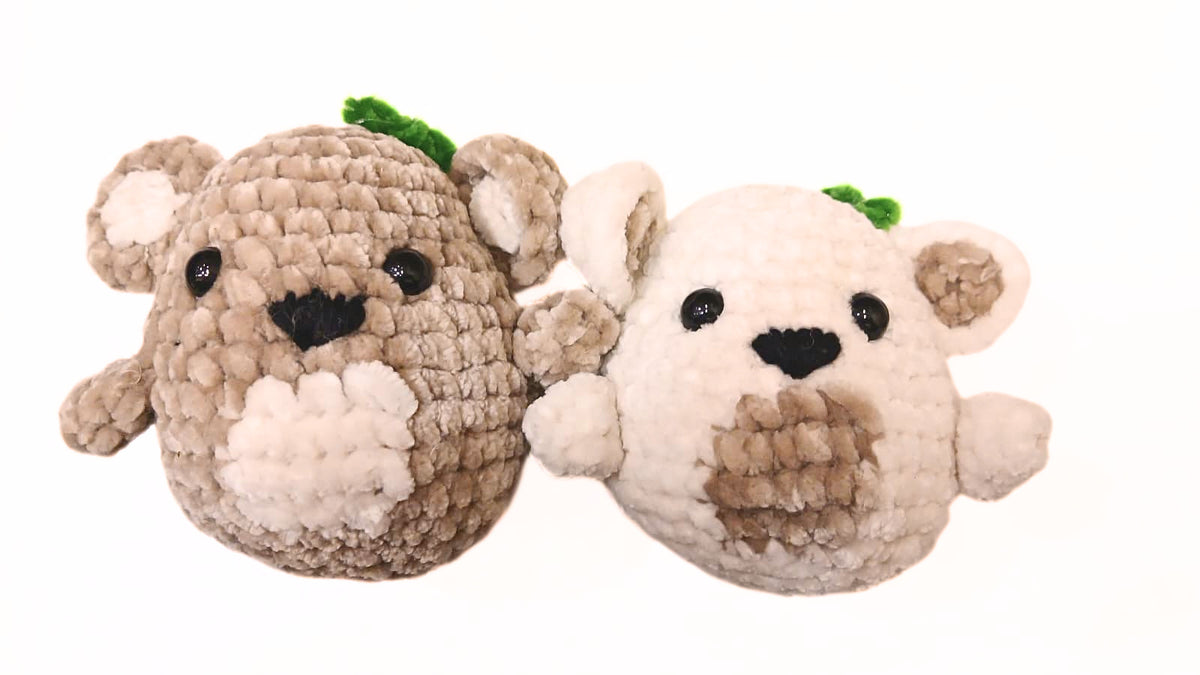 Kiddy Koala