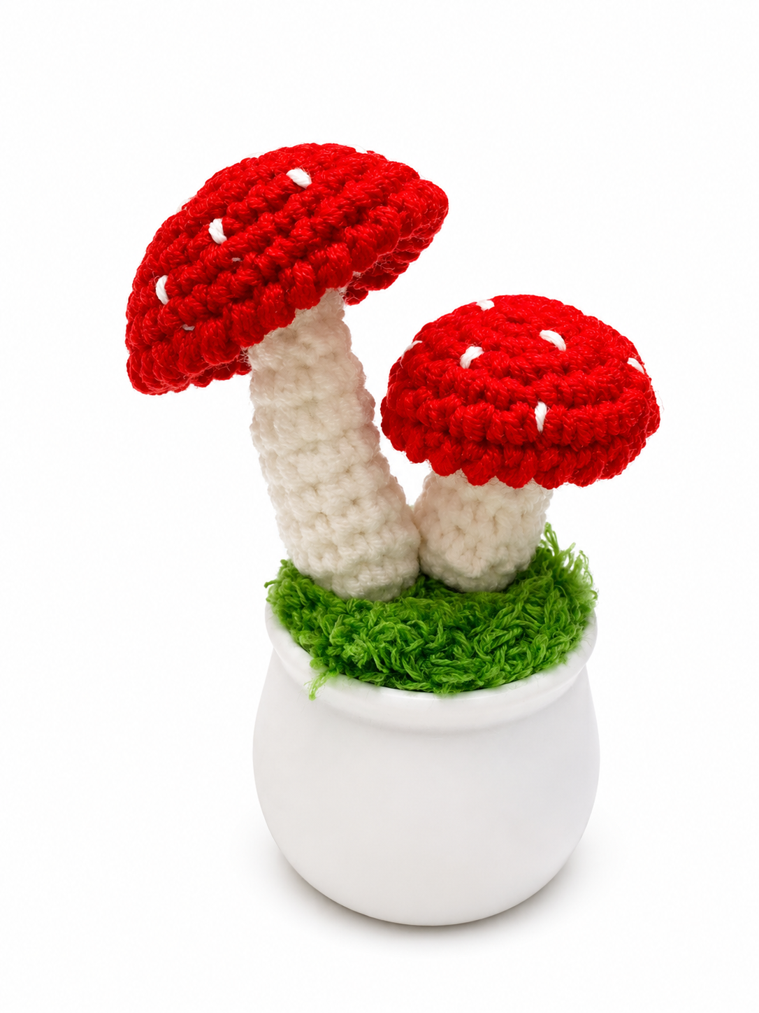 Mushroom pot
