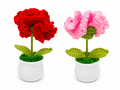 Carnation Flowerpot