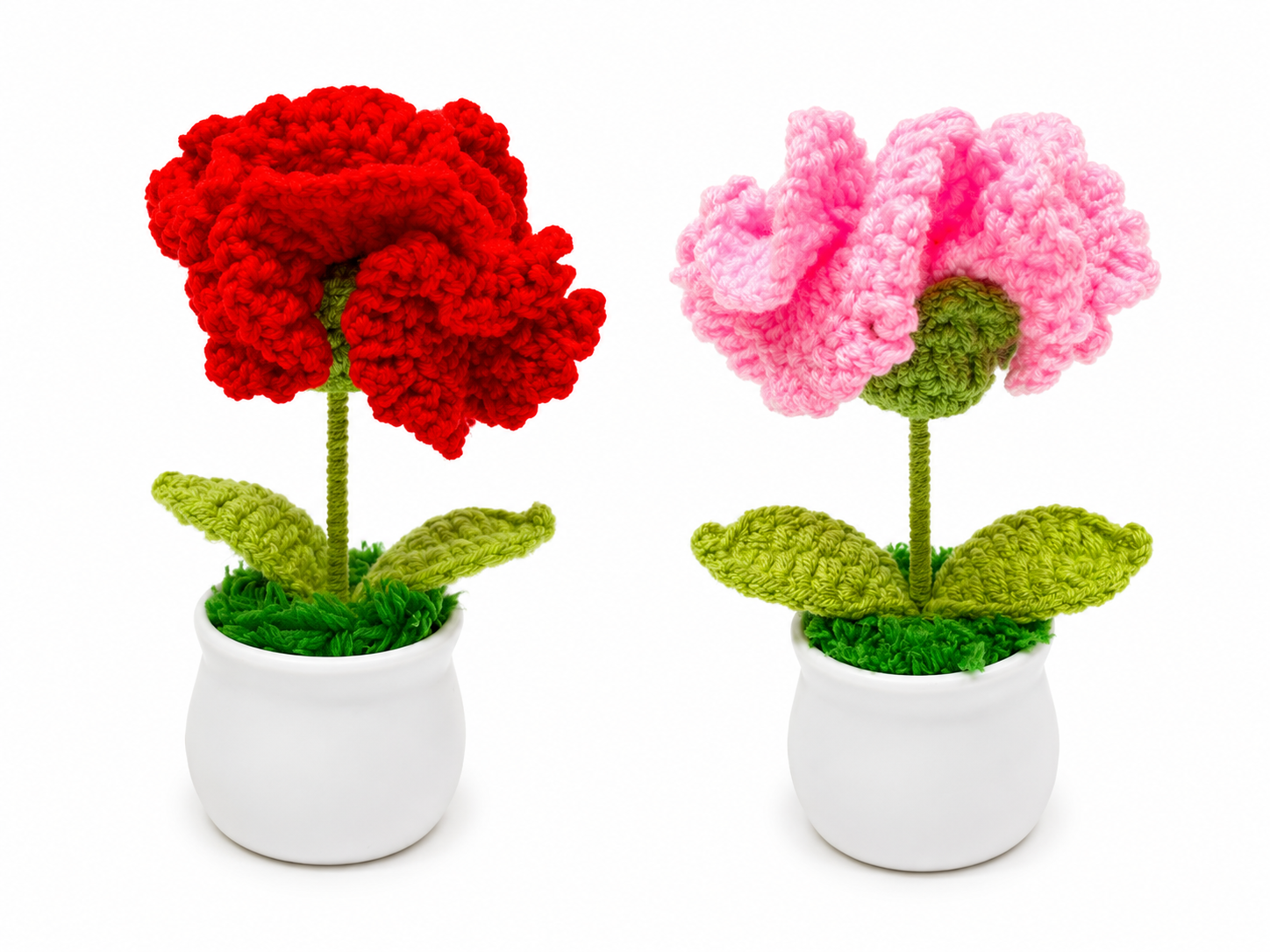 Carnation Flowerpot