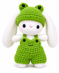 Bunny w frog jumper