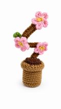 Tiny Blossom plant