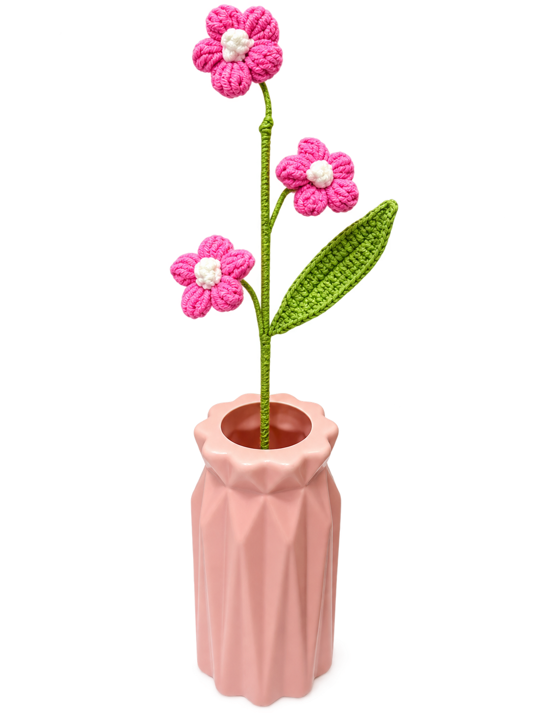 3 Daisy flower