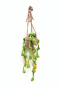 Hanging tiny flowers basket