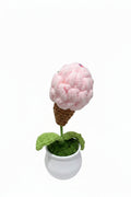 Ice cream pot